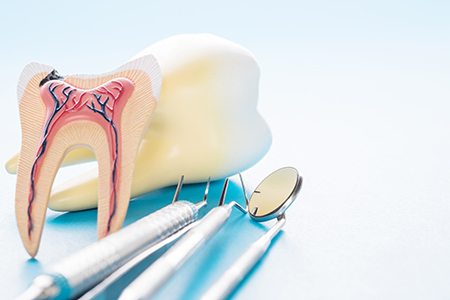 Berchelmann Family Dental